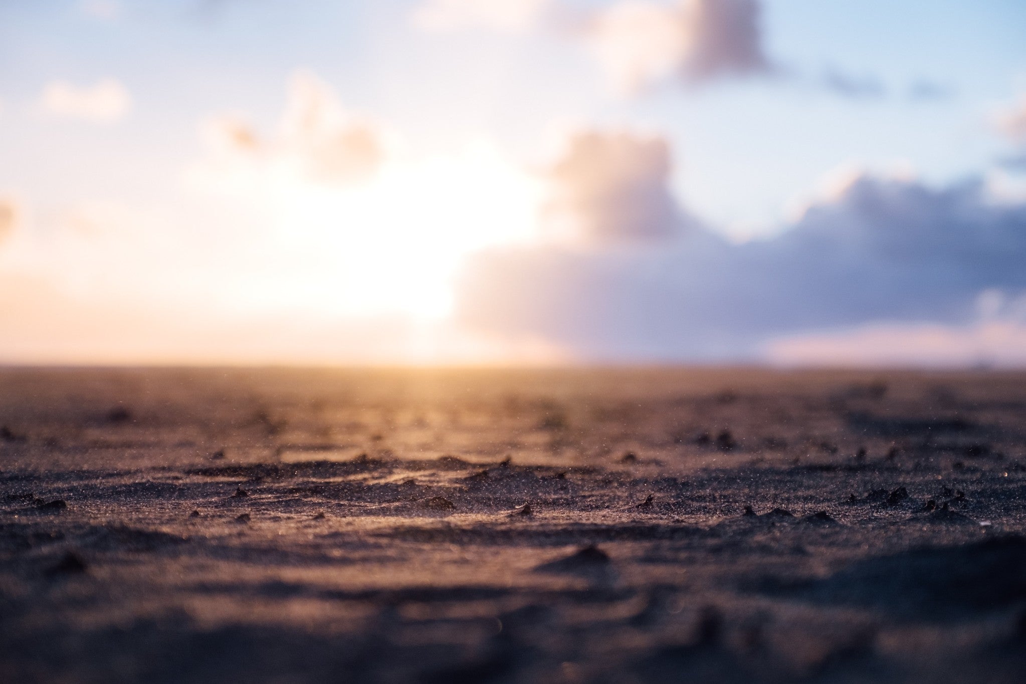 matthew-bennett-CLRlX4zQM4s-unsplash